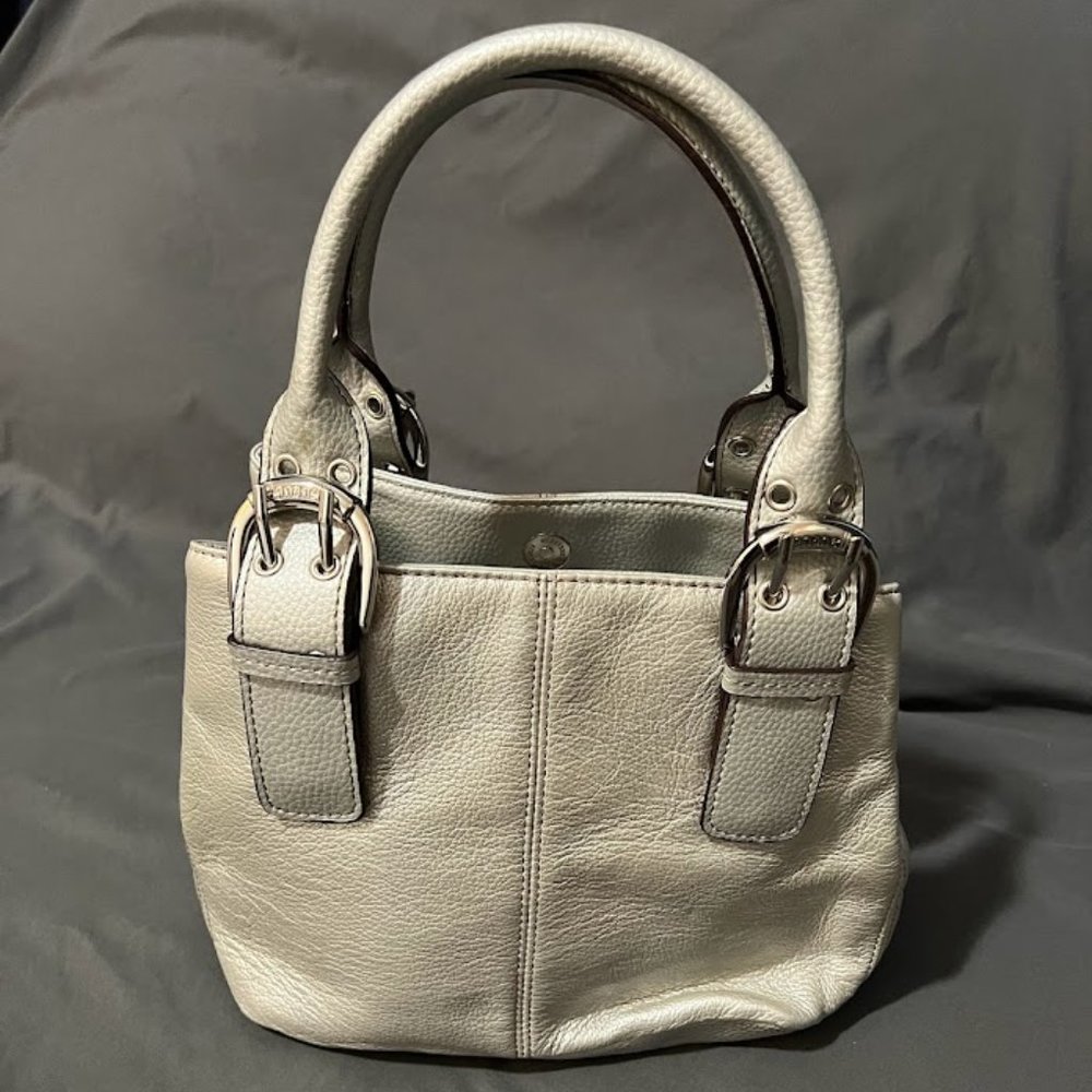 Tignanello Silver Leather Small Tote